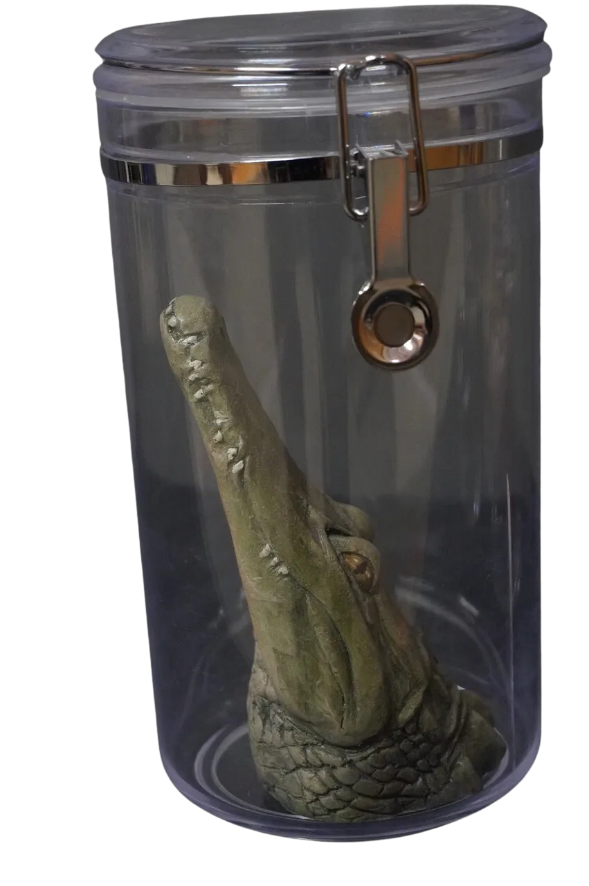 Alligator Head Apothecary Specimen Jar