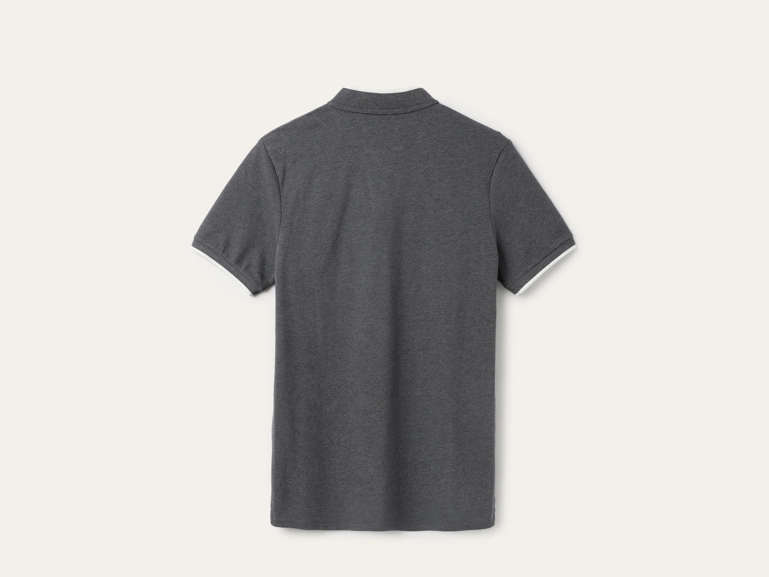 Regular Fit Collared Solid T-Shirt