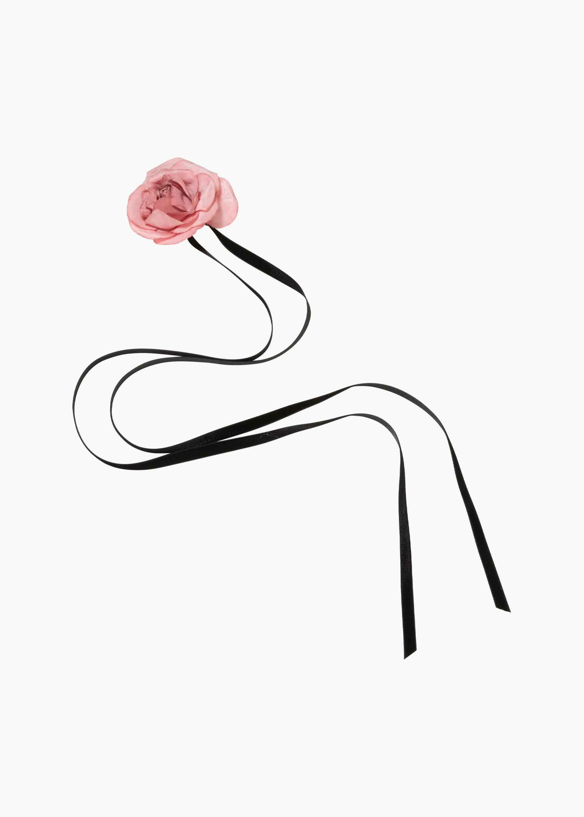 Rosalinda Ribbon Tie -- Black Rose