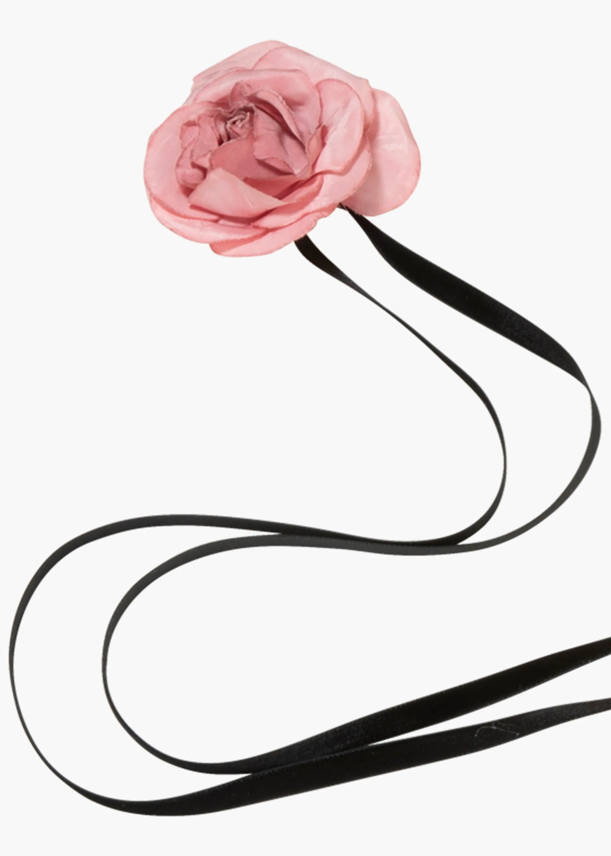 Rosalinda Ribbon Tie -- Black Rose